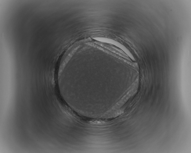 X0000111840512200908131421