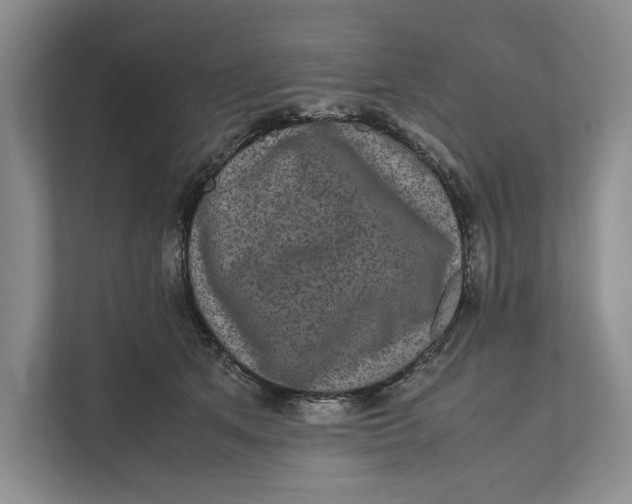 X0000111840513200908131421