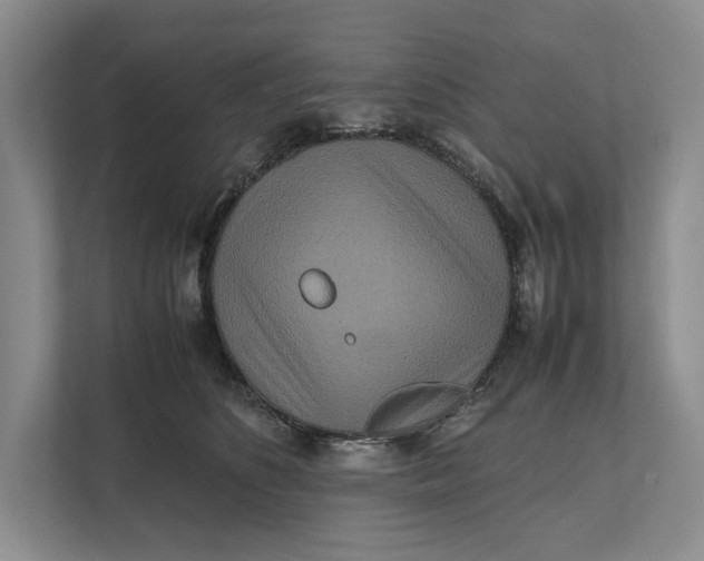 X0000111840516200908131421