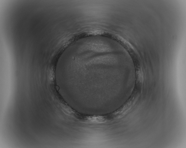 X0000111840517200908131421