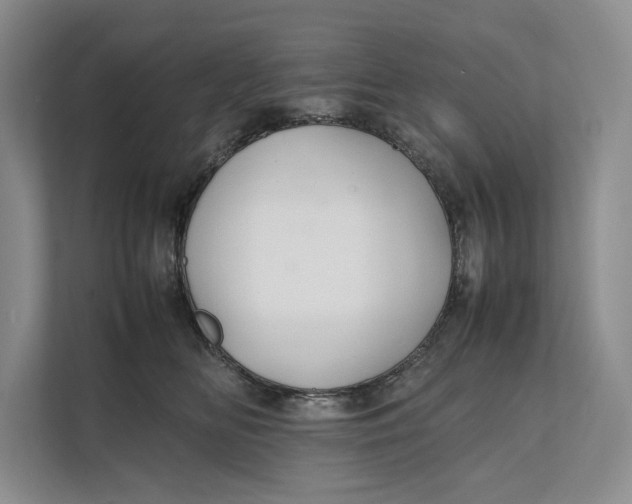 X0000111840518200908131421