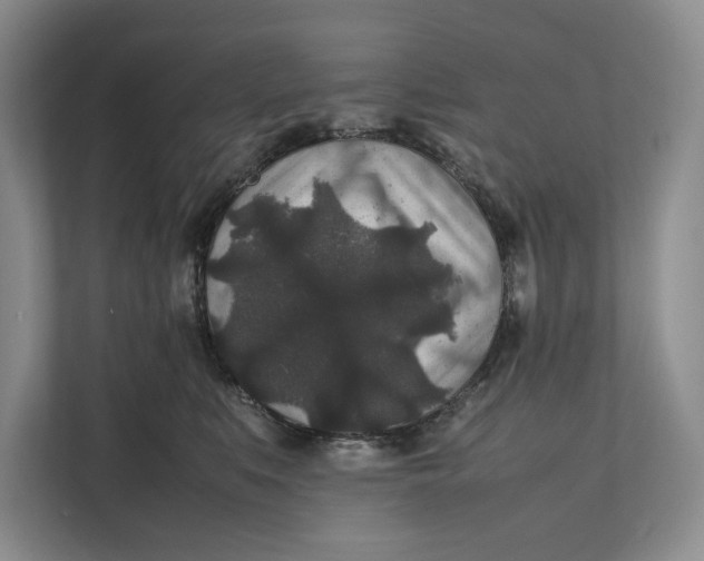 X0000111840519200908131421