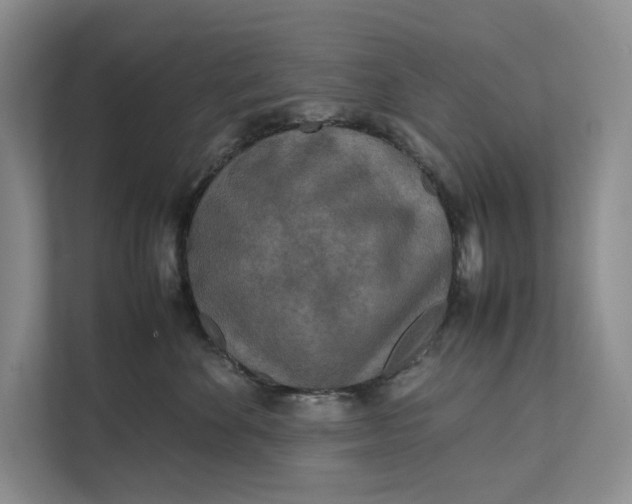 X0000111840524200908131421