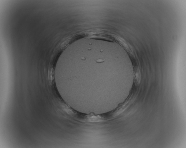 X0000111840525200908131421