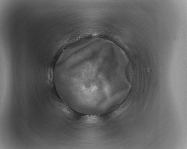 X0000111840528200908131421