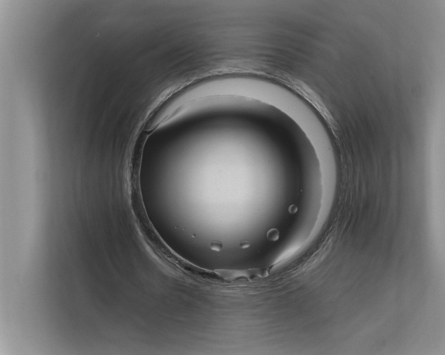 X0000111840530200908131421