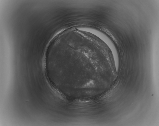 X0000111840531200908131421