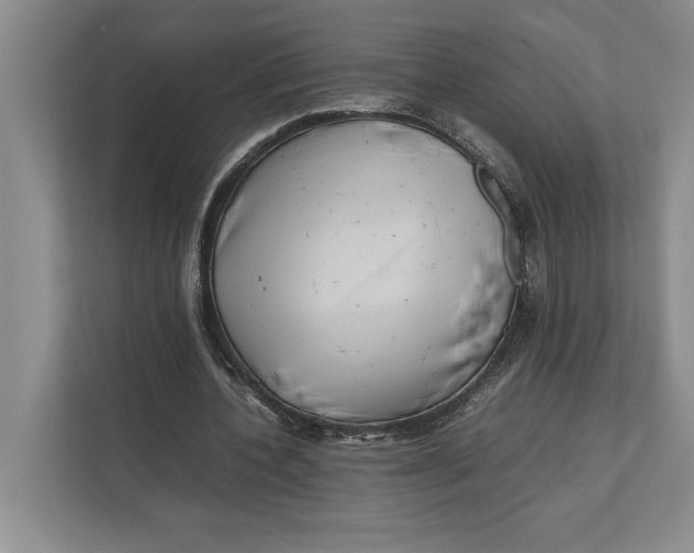 X0000111840532200908131421