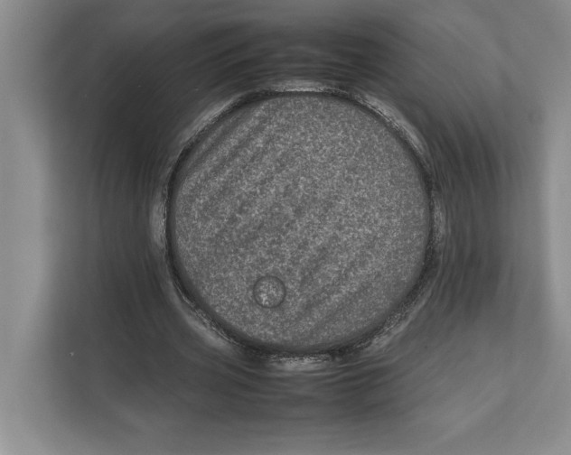 X0000111840533200908131421