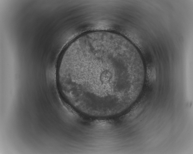 X0000111840534200908131421