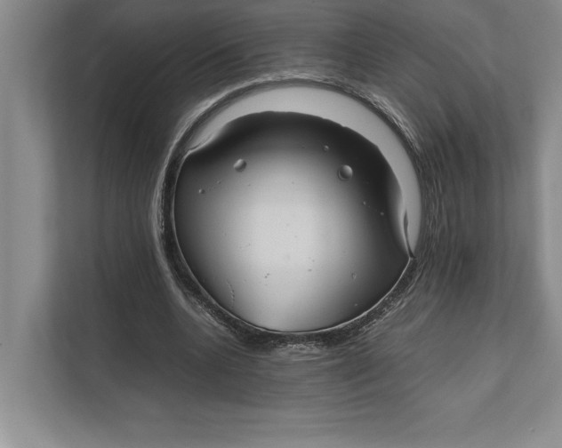 X0000111840536200908131421