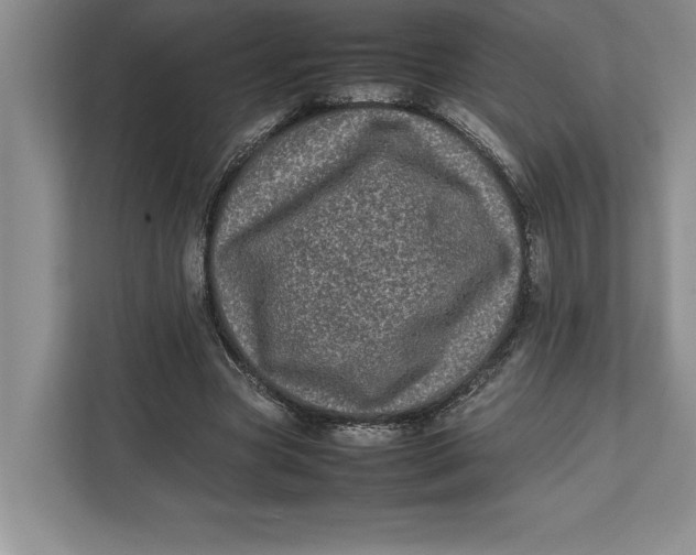 X0000111840537200908131421