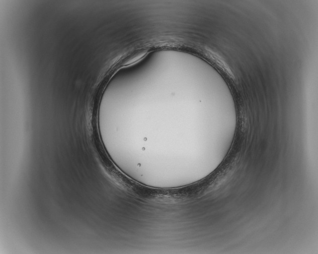 X0000111840538200908131421