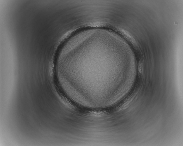 X0000111840540200908131421