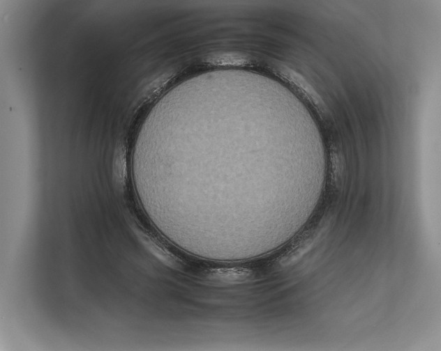 X0000111840541200908131421