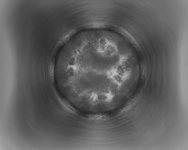 X0000111840542200908131421