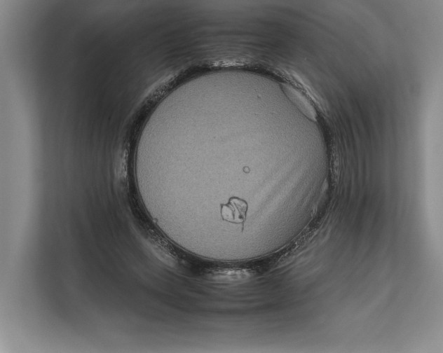 X0000111840543200908131421