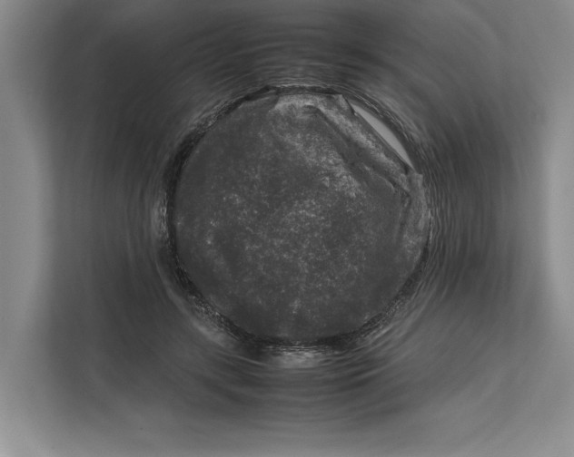 X0000111840547200908131421