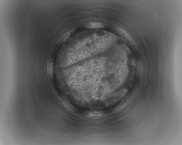 X0000111840549200908131421