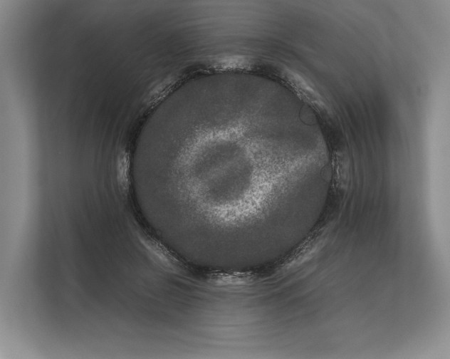 X0000111840550200908131421