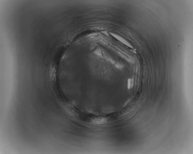 X0000111840551200908131421