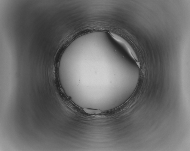 X0000111840552200908131421