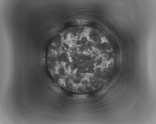 X0000111840553200908131421