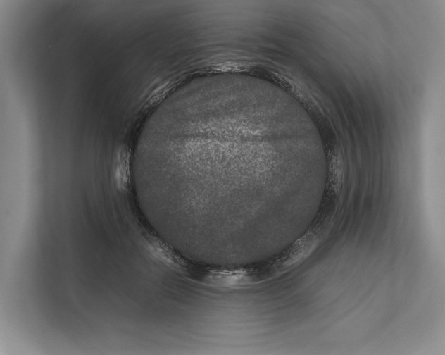 X0000111840554200908131421