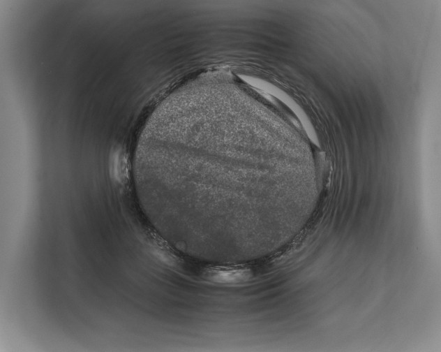 X0000111840555200908131421