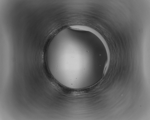 X0000111840556200908131421