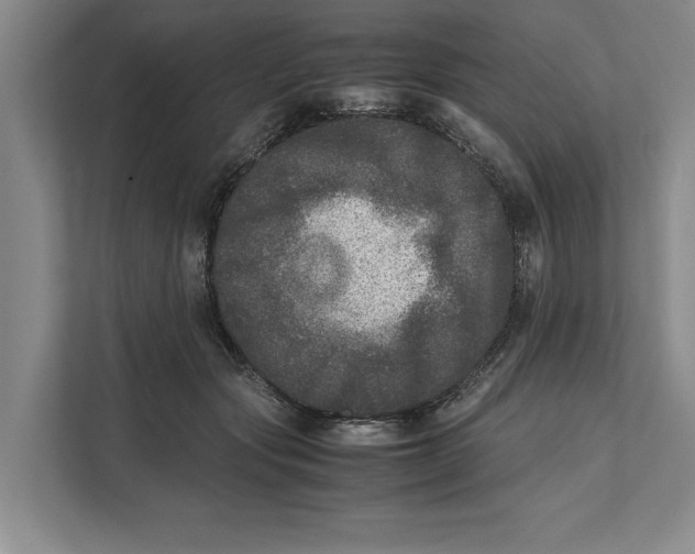 X0000111840557200908131421