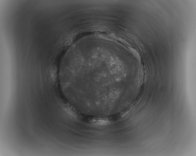 X0000111840559200908131421