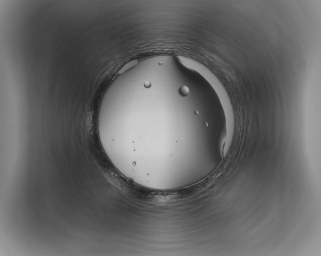 X0000111840560200908131421