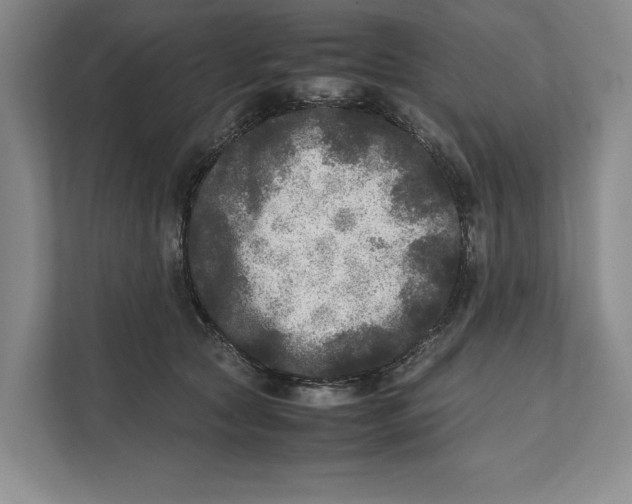 X0000111840561200908131421