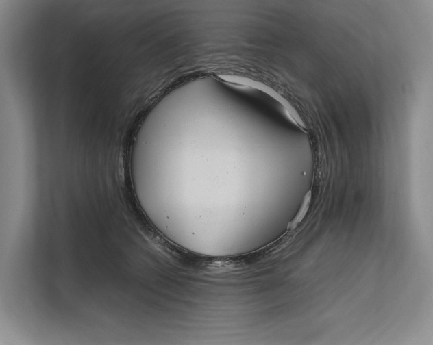 X0000111840562200908131421