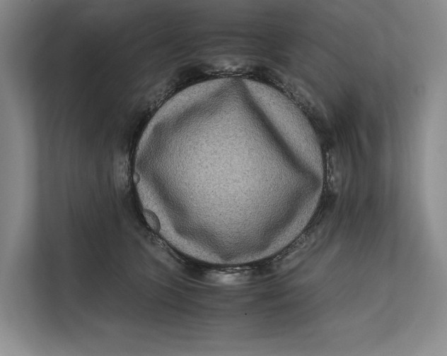 X0000111840563200908131421