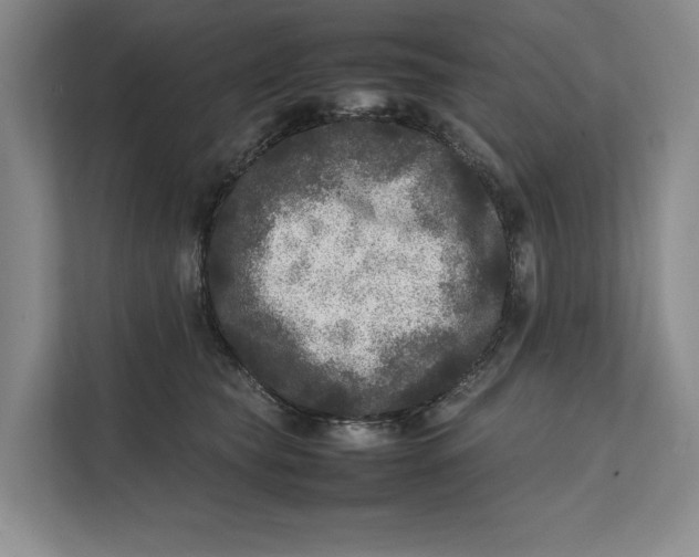 X0000111840565200908131421