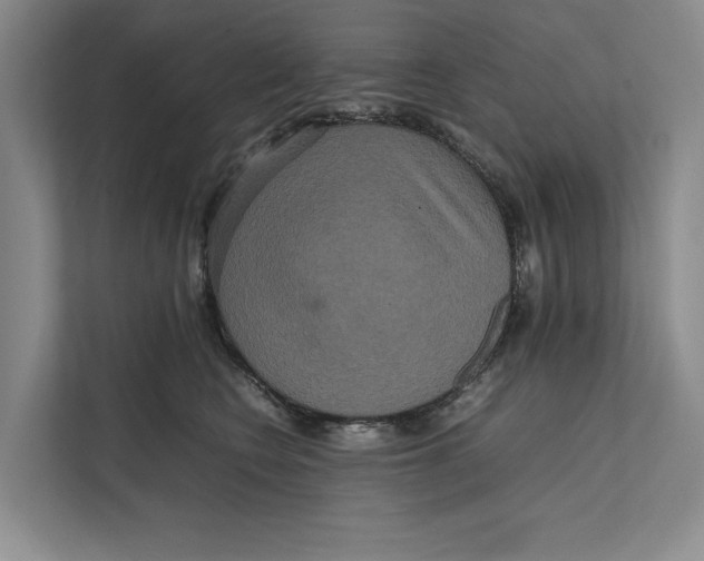 X0000111840566200908131421