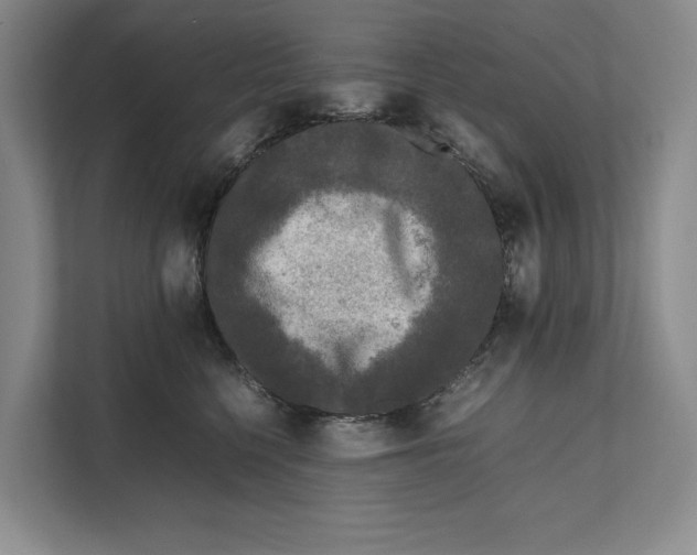 X0000111840568200908131421