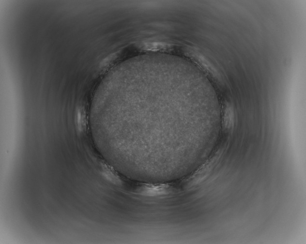 X0000111840569200908131421