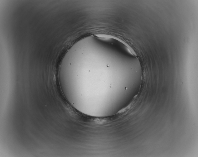 X0000111840570200908131421