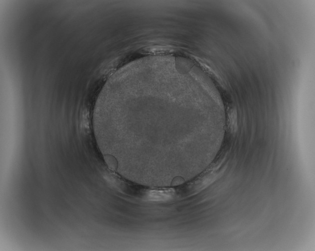 X0000111840571200908131421