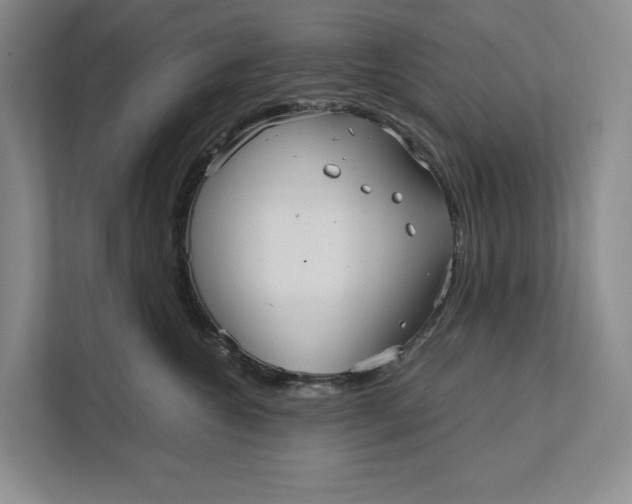 X0000111840572200908131421