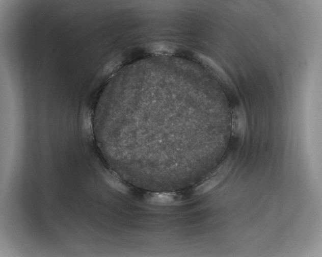 X0000111840573200908131421