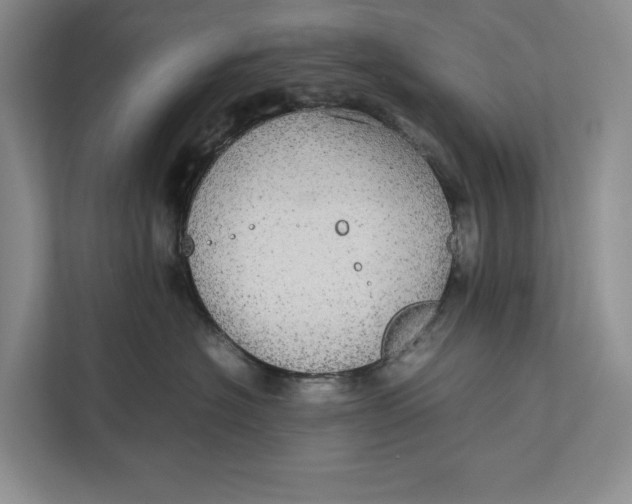 X0000111840574200908131421