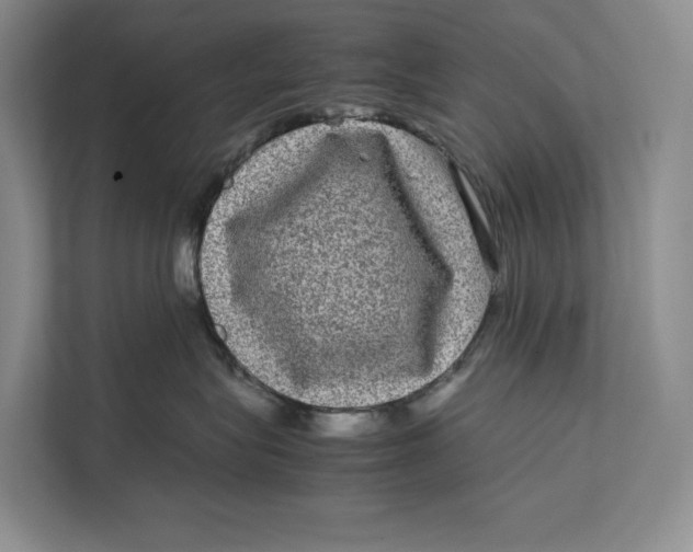 X0000111840575200908131421