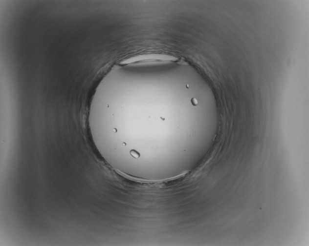 X0000111840576200908131421