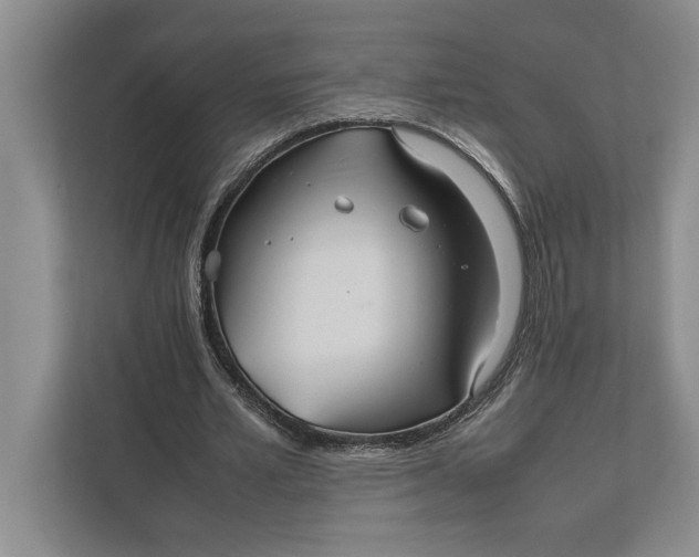 X0000111840581200908131420