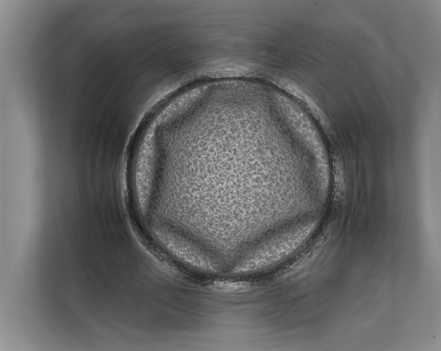 X0000111840582200908131420