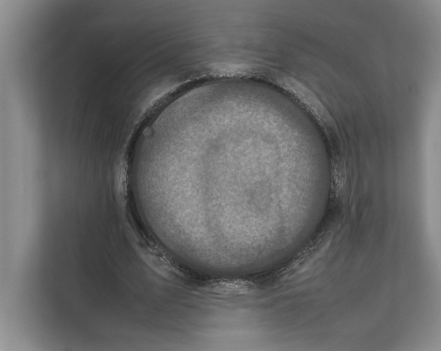 X0000111840583200908131420